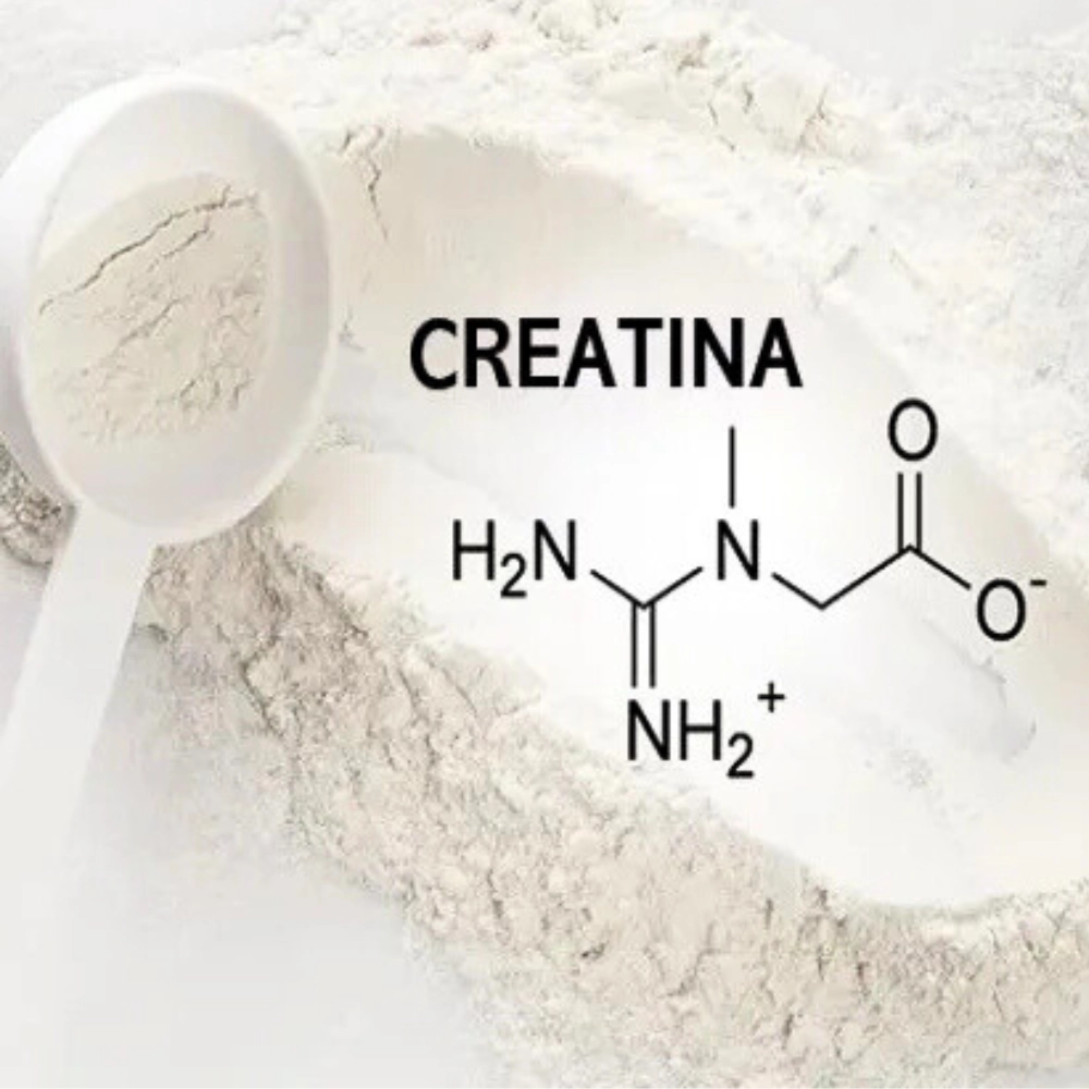 Creatina: Guia Completo para Máxima Performance